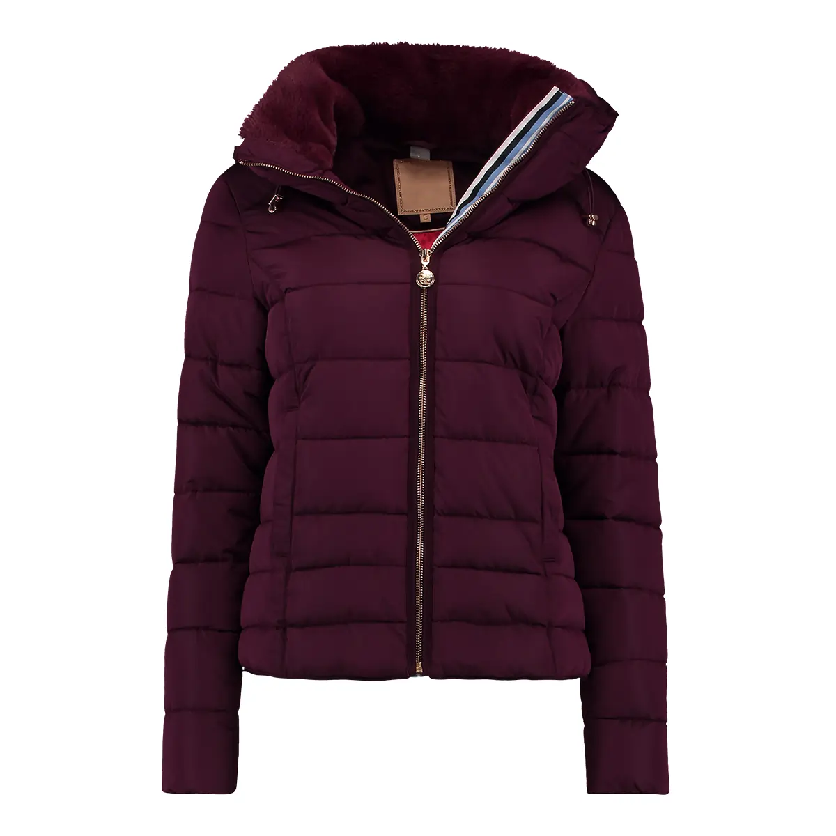 Purple Jacket